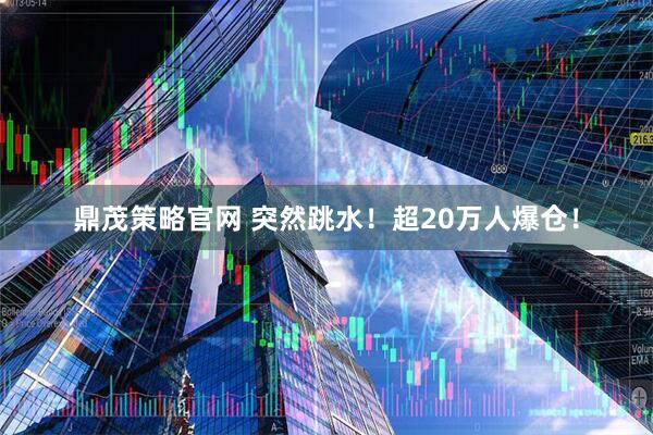 鼎茂策略官网 突然跳水！超20万人爆仓！