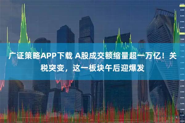 广证策略APP下载 A股成交额缩量超一万亿！关税突变，这一板块午后迎爆发