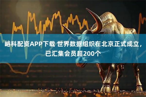 峪科配资APP下载 世界数据组织在北京正式成立，已汇集会员超200个